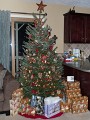 Our Tree 3